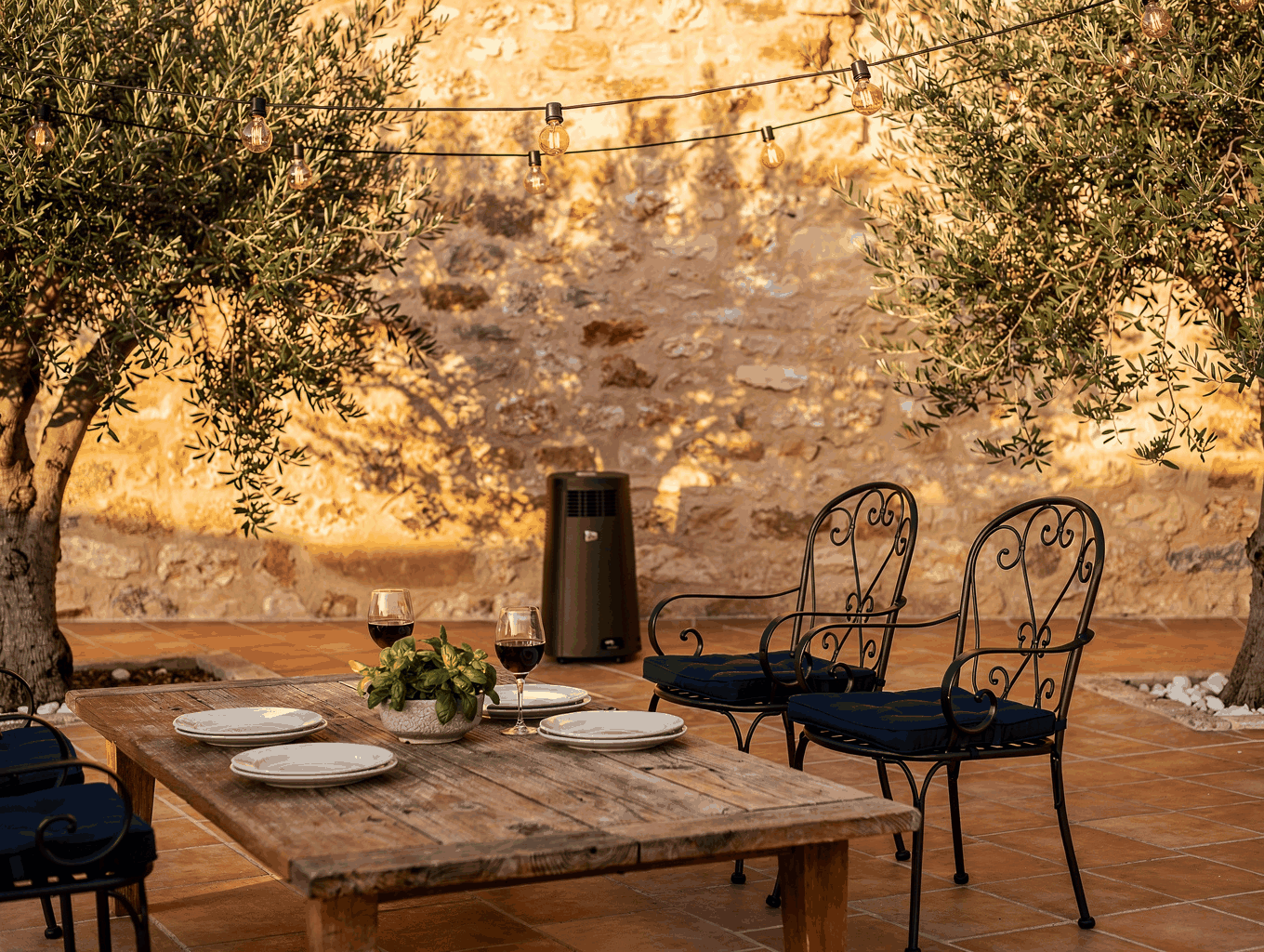 Covered outdoor courtyard terrace surrounded by olive trees